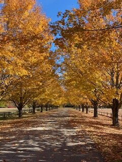 Snell Family Farm-West Buxton必去景点