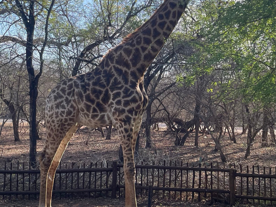 Khaya Umdani Guest Houses主图