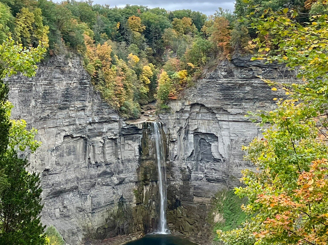 Black Walnut Bed and Breakfast主图