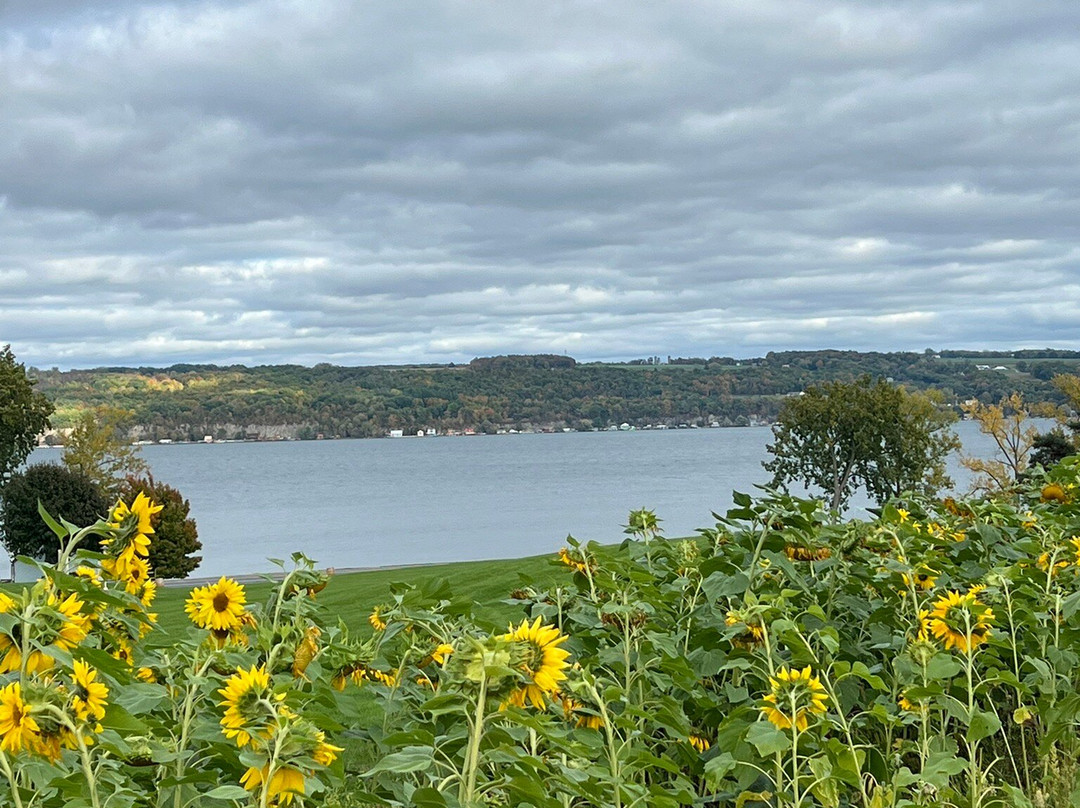 Black Walnut Bed and Breakfast主图