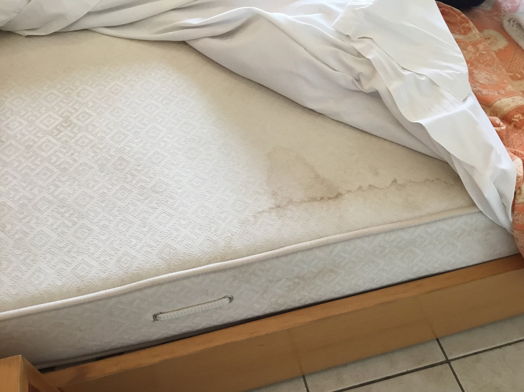 Hellinis Hotel主图