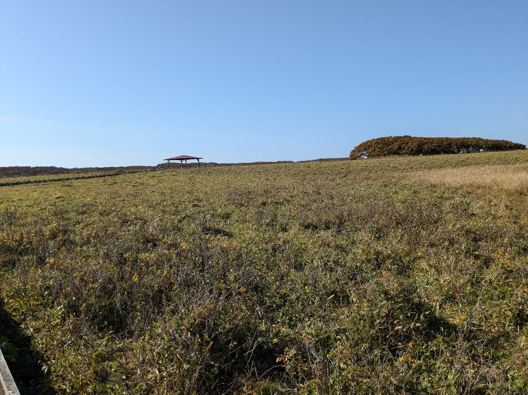 Northern Natural Flower Garden-根室市必去景点