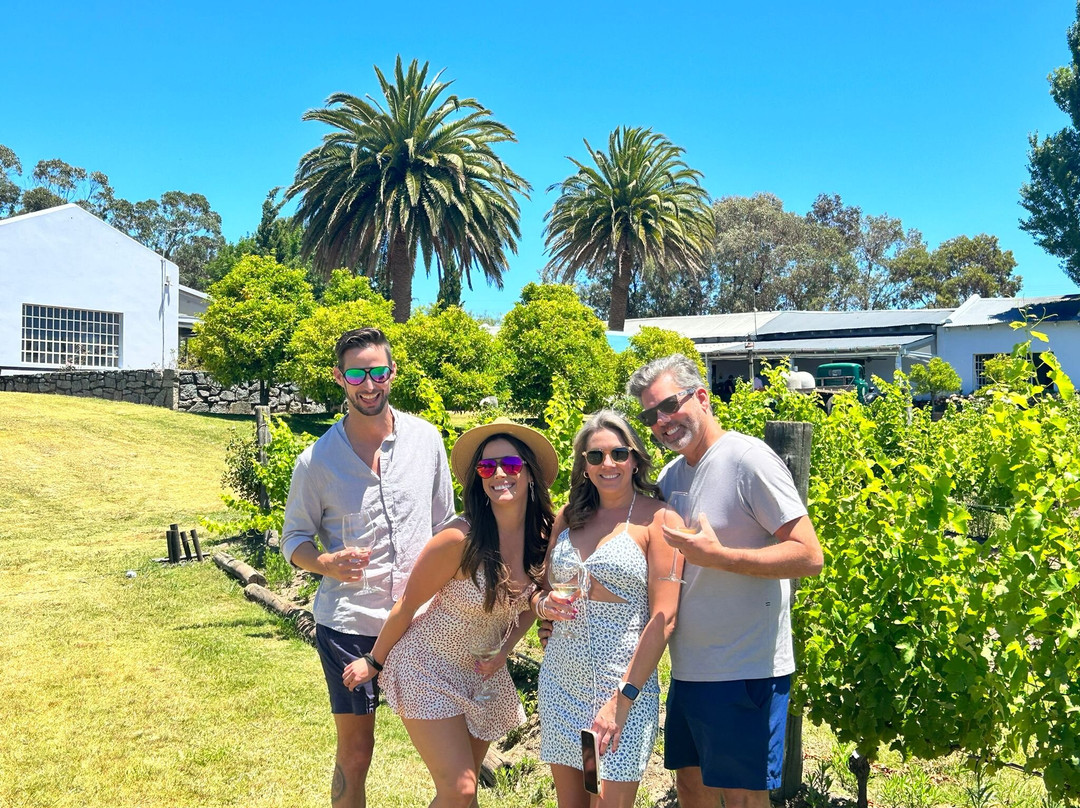 The Wine Experience-Jose Ignacio必去景点