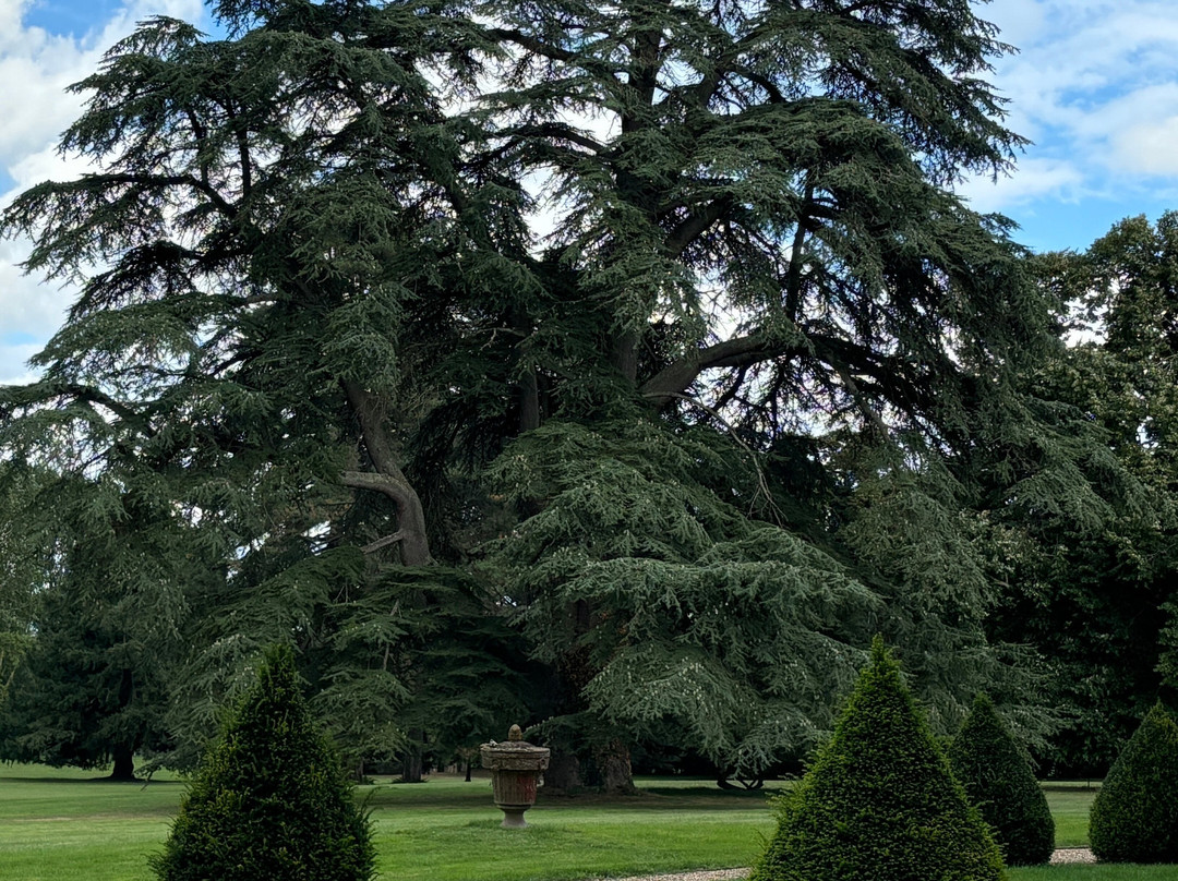 Chateau de Beauvais主图