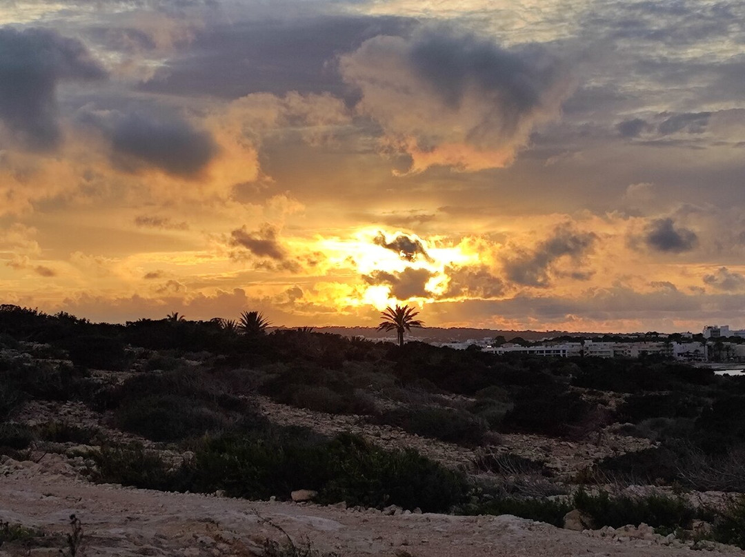 Torre de sa Punta Prima景点图片