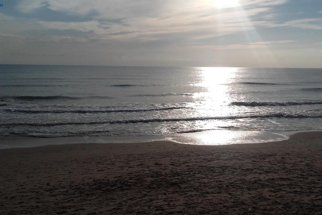 Apartamento Guardamar Playa