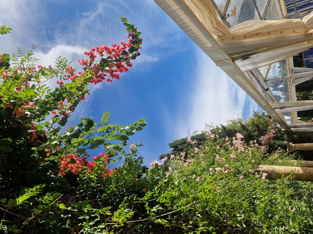 Es Revellar Art Resort主图