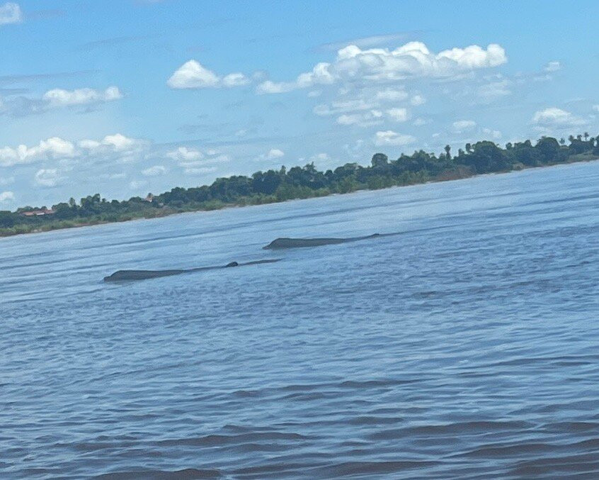 Sorya Kayaking Adventures景点图片