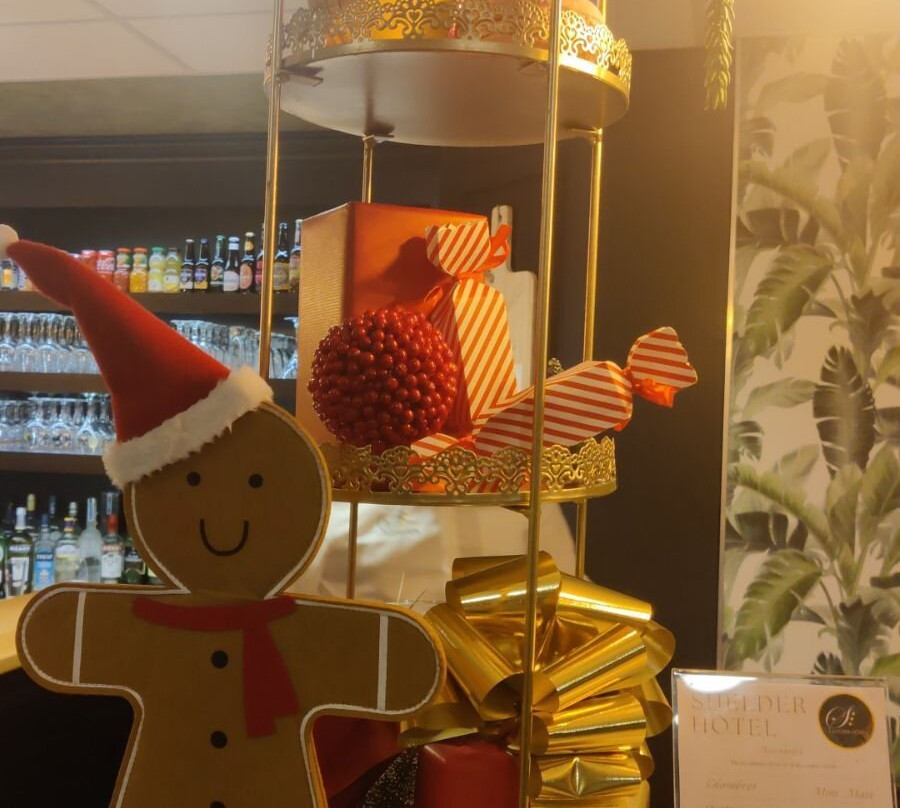 Shelder Hôtel主图