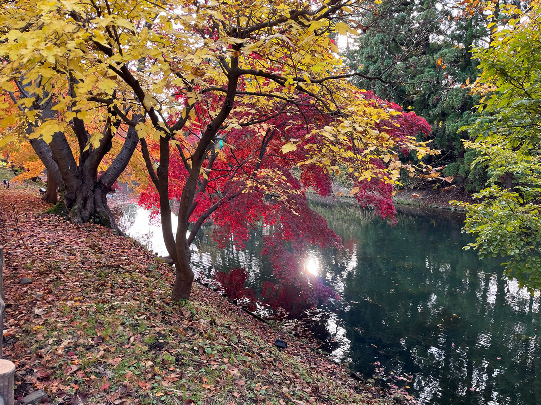 Hirosaki Castle Botanical Garden-弘前市必去景点