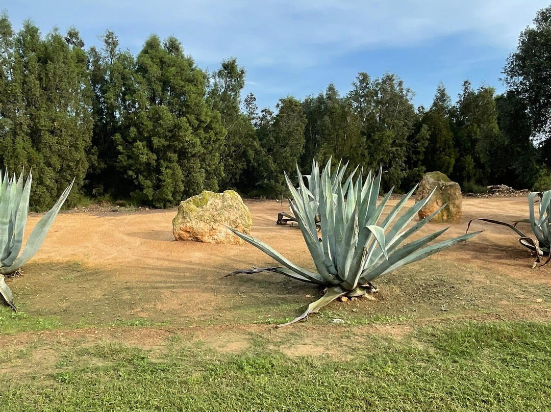 Citrus Golf Club-哈玛麦德必去景点