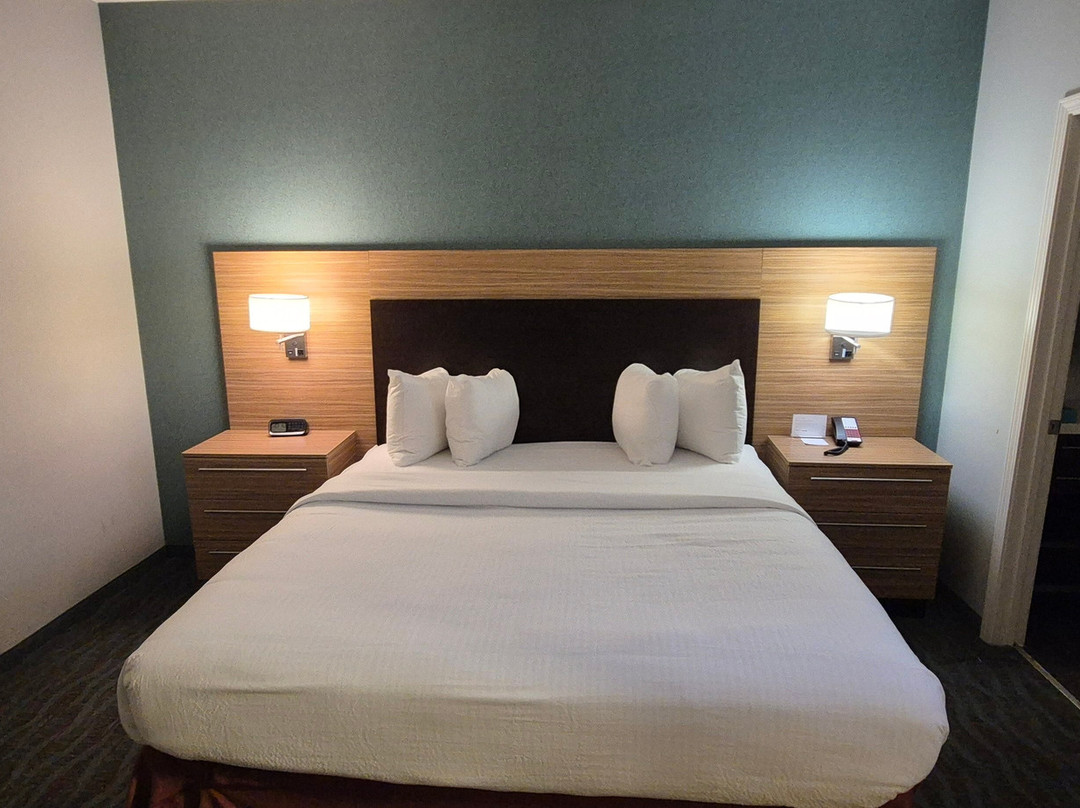 TownePlace Suites by Marriott Vidalia Riverfront主图