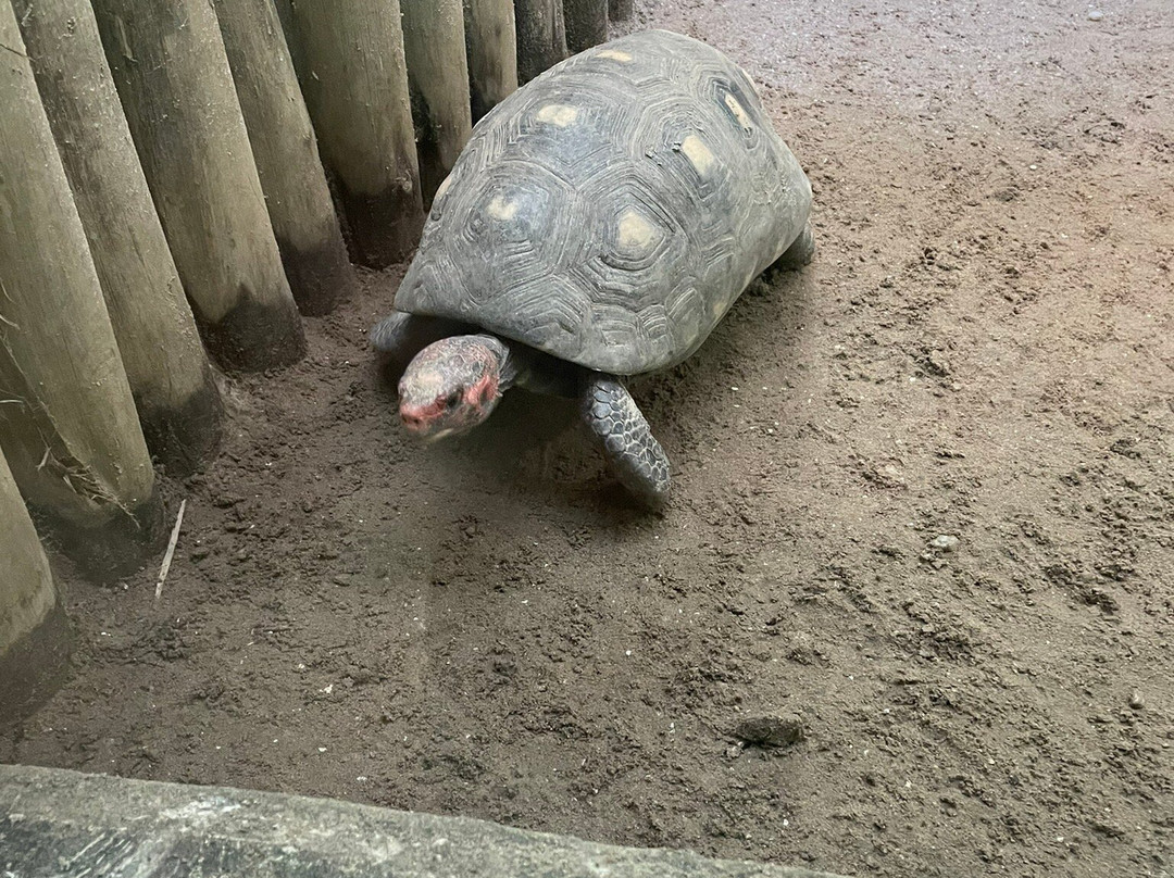 Aquario Marinho-巴拉那瓜必去景点