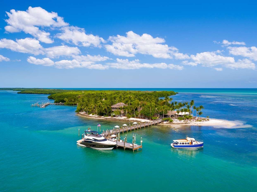 Little Palm Island主图