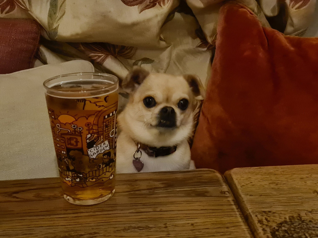 The Notley Arms Inn主图