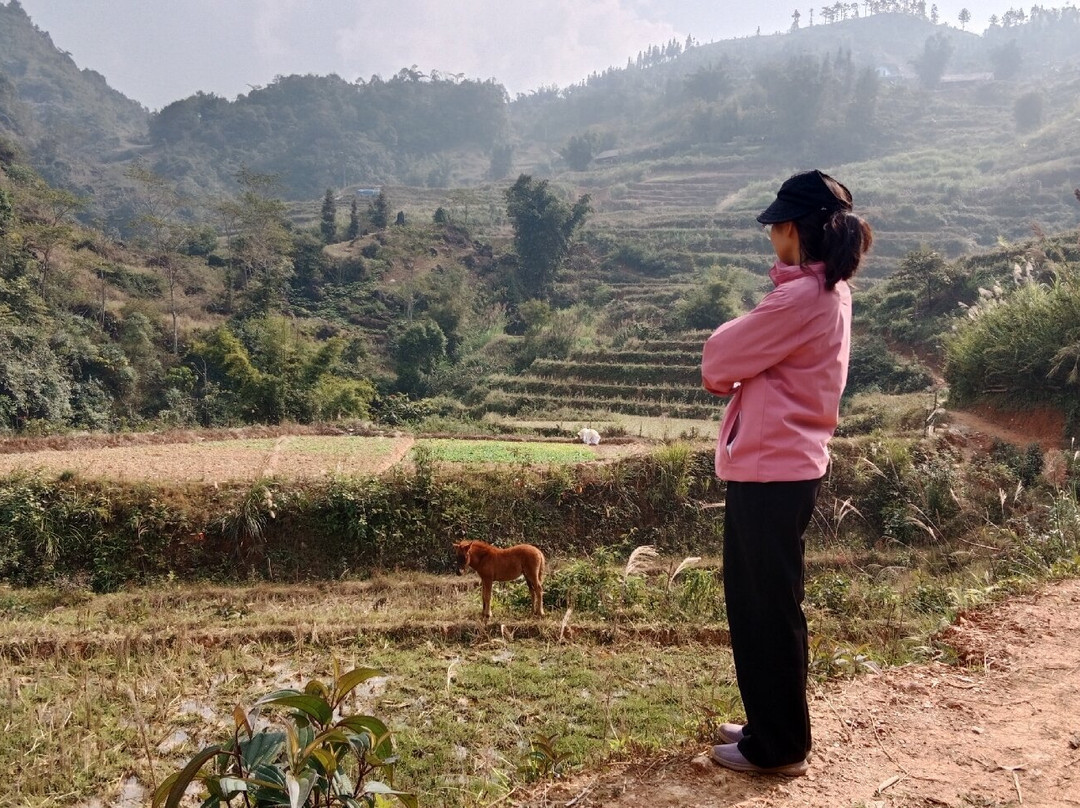 Highland Homestay Bac Ha主图