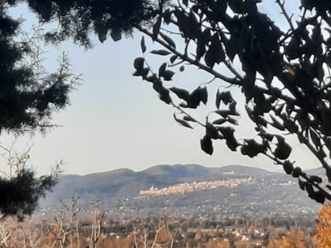 Romanelli Agricola-Montefalco必去景点