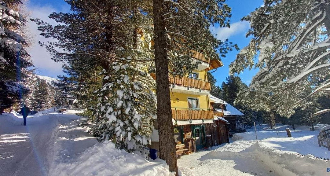 锡尔尼兹酒店住宿-Almhaus Blümel Turracherhöhe