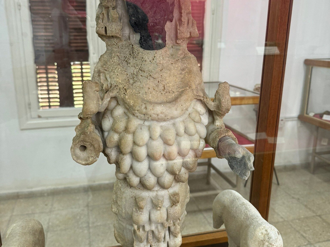 Güzelyurt Museum of Archeology & Natural History景点图片