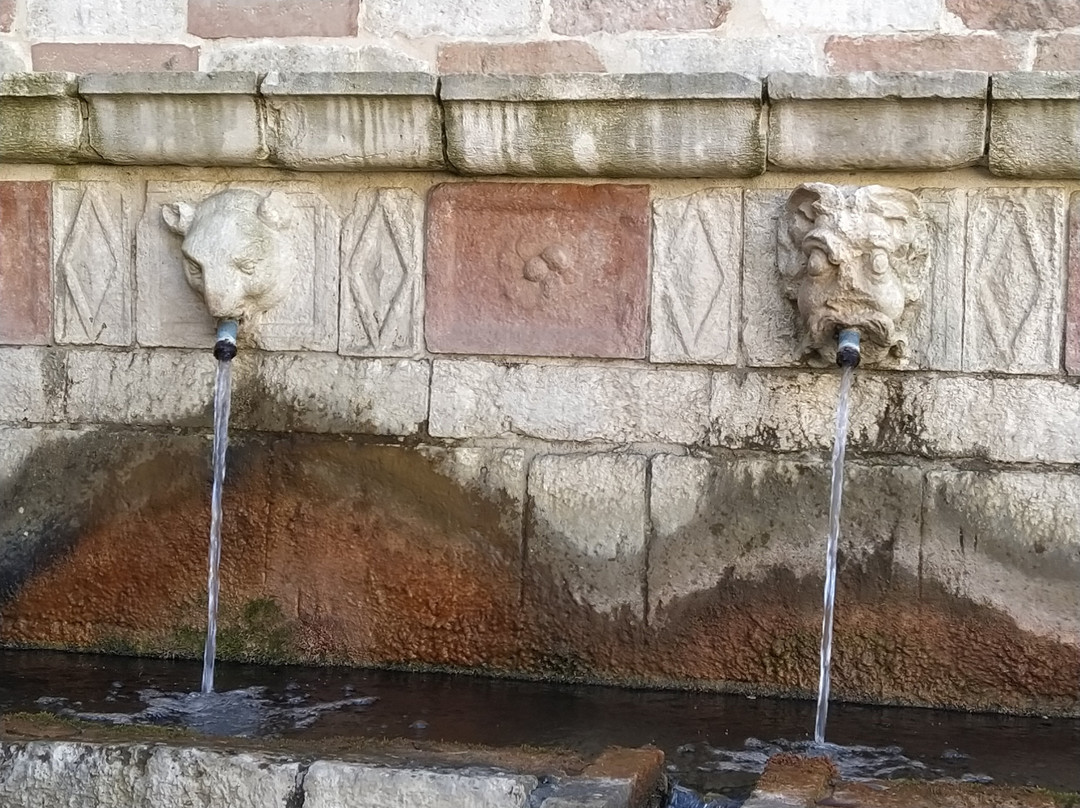 Fontana delle 99 Cannelle景点图片