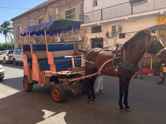 Amazing Teranga-达喀尔必去景点