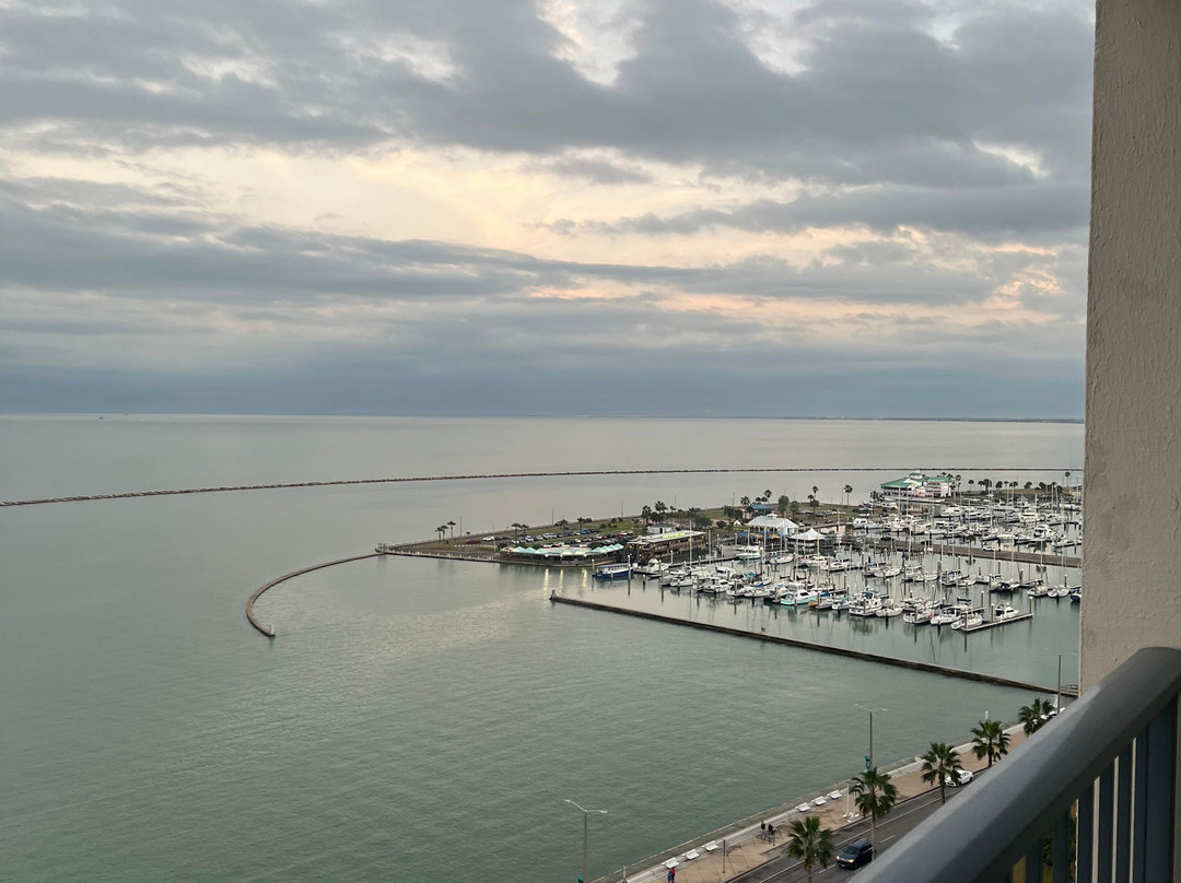 海湾塔科珀斯克里斯蒂市奥姆尼酒店主图