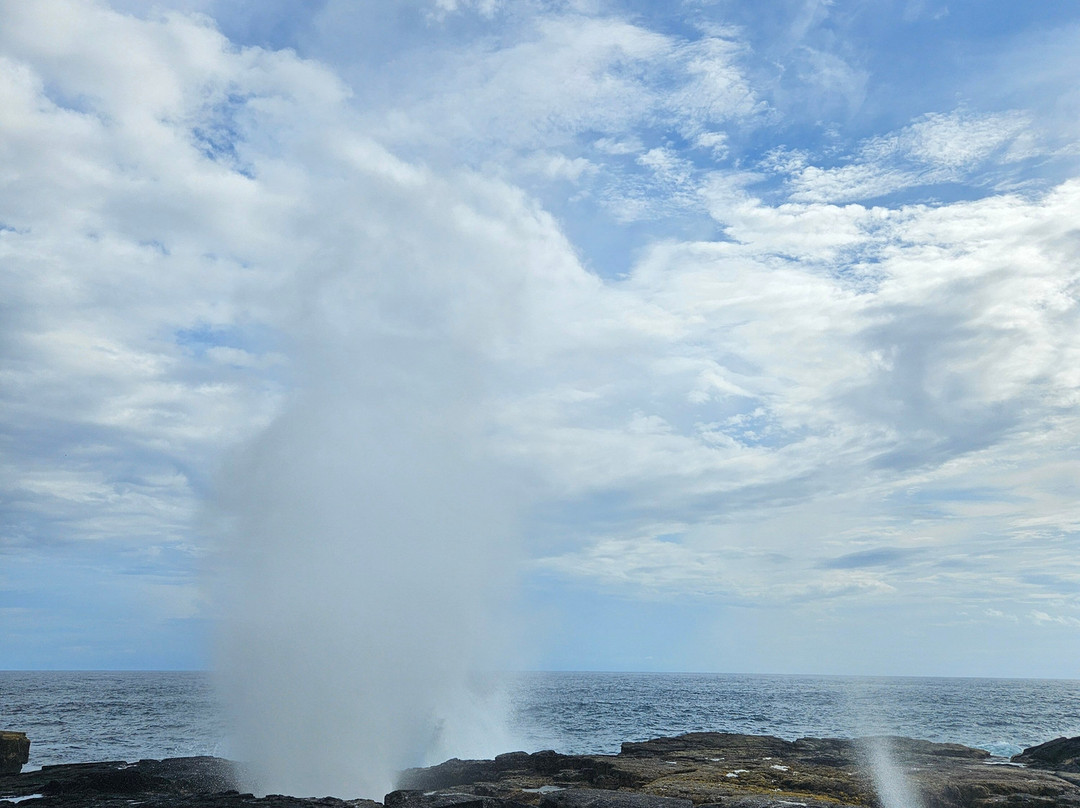Adventour Samoa-Vaitele必去景点