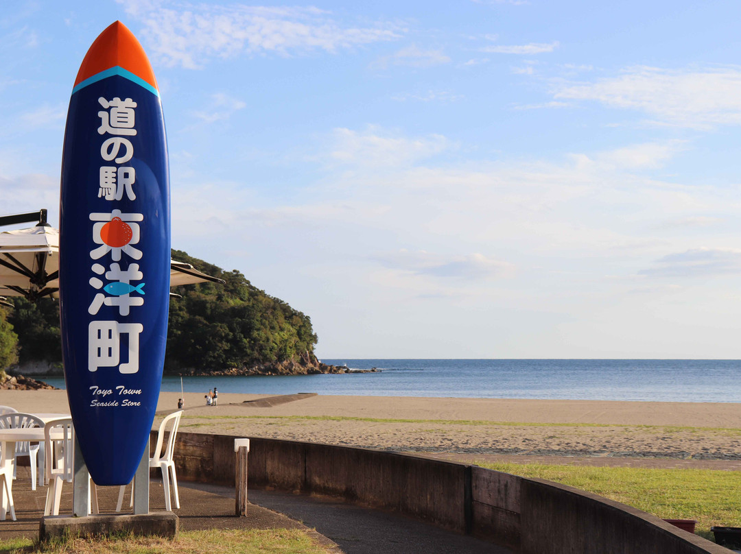 Umi no Eki Toyo-东洋町必去景点