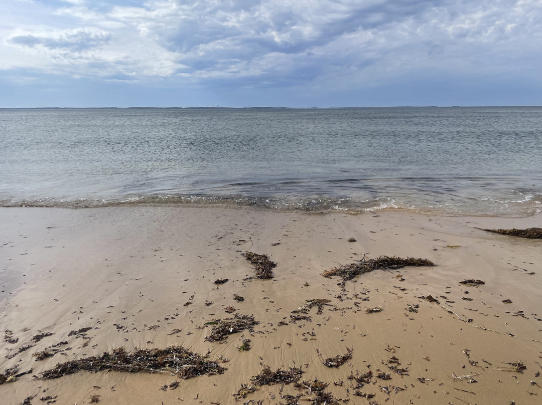 Balnarring Beach景点图片