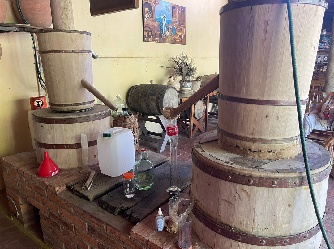 Tequila mama lucia , Nuevo Nayarit-新瓦雅塔必去景点