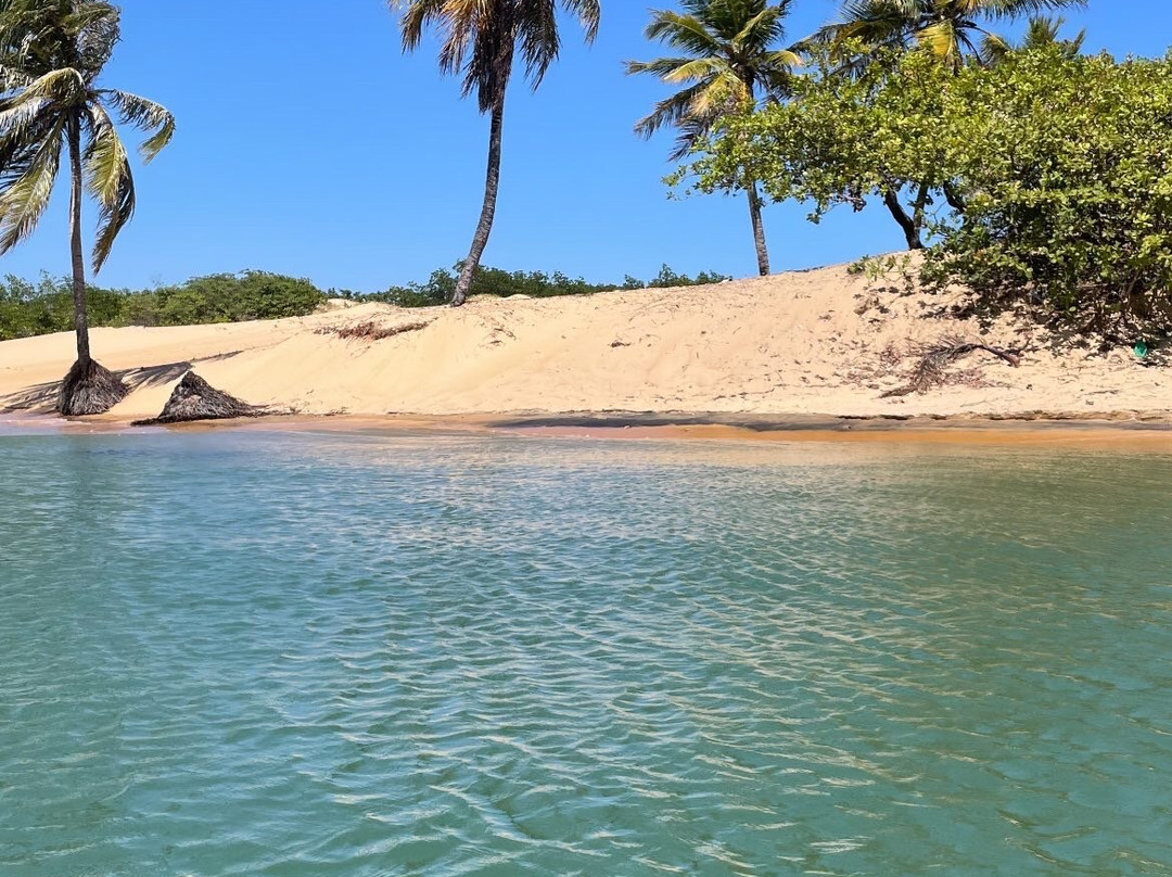 Foz do Rio São Francisco Leno Delta景点图片