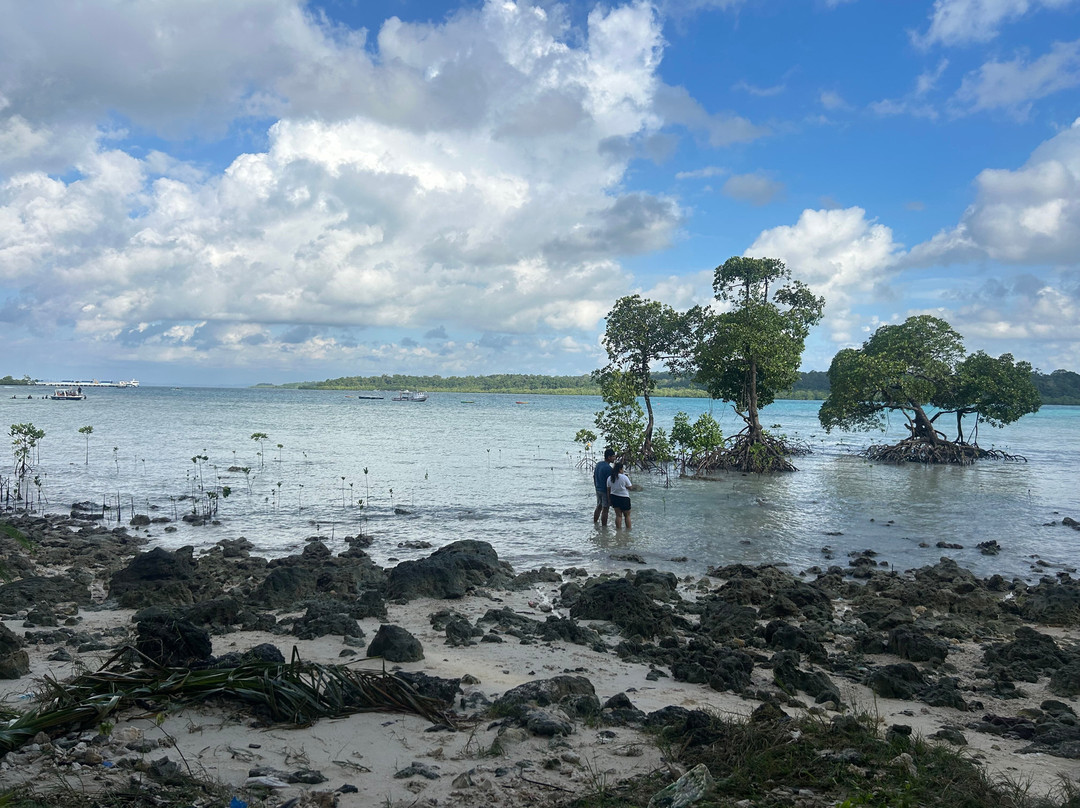 Andaman Experts景点图片
