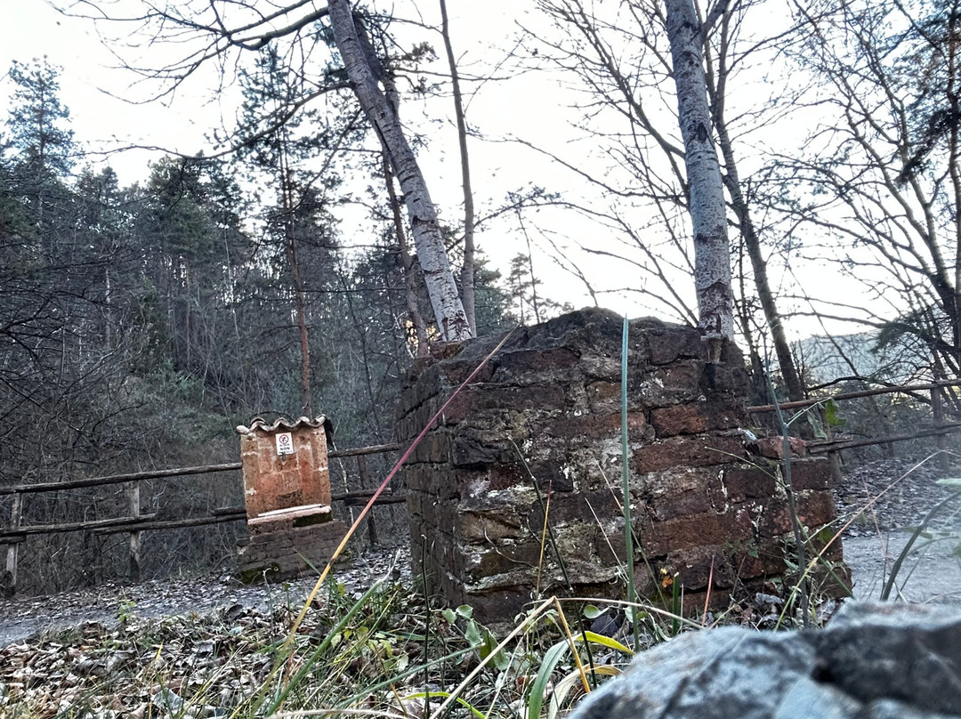 Area Mineraria di Nucetto景点图片