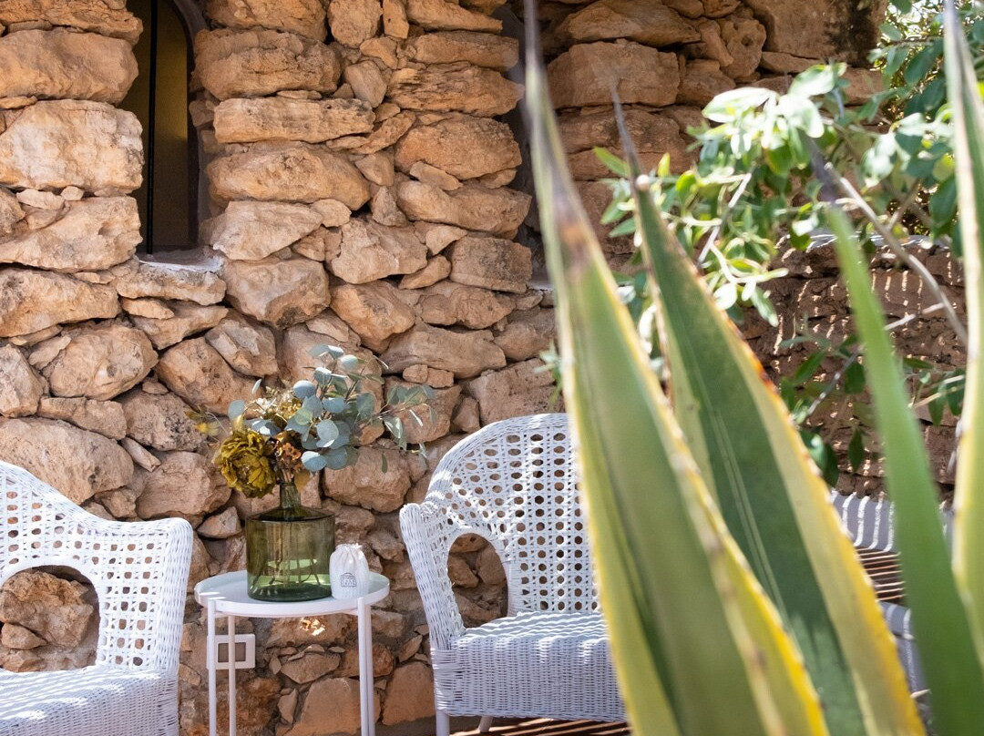 Hotel I Dammusi di Borgo Cala Creta主图