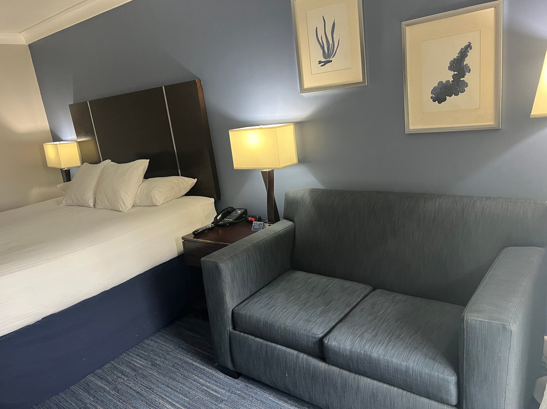 The Pacific Inn主图