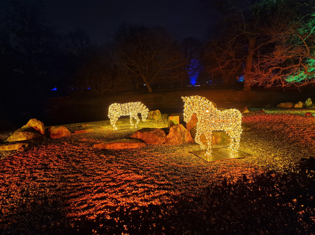 Christmas Garden Karlsruhe景点图片