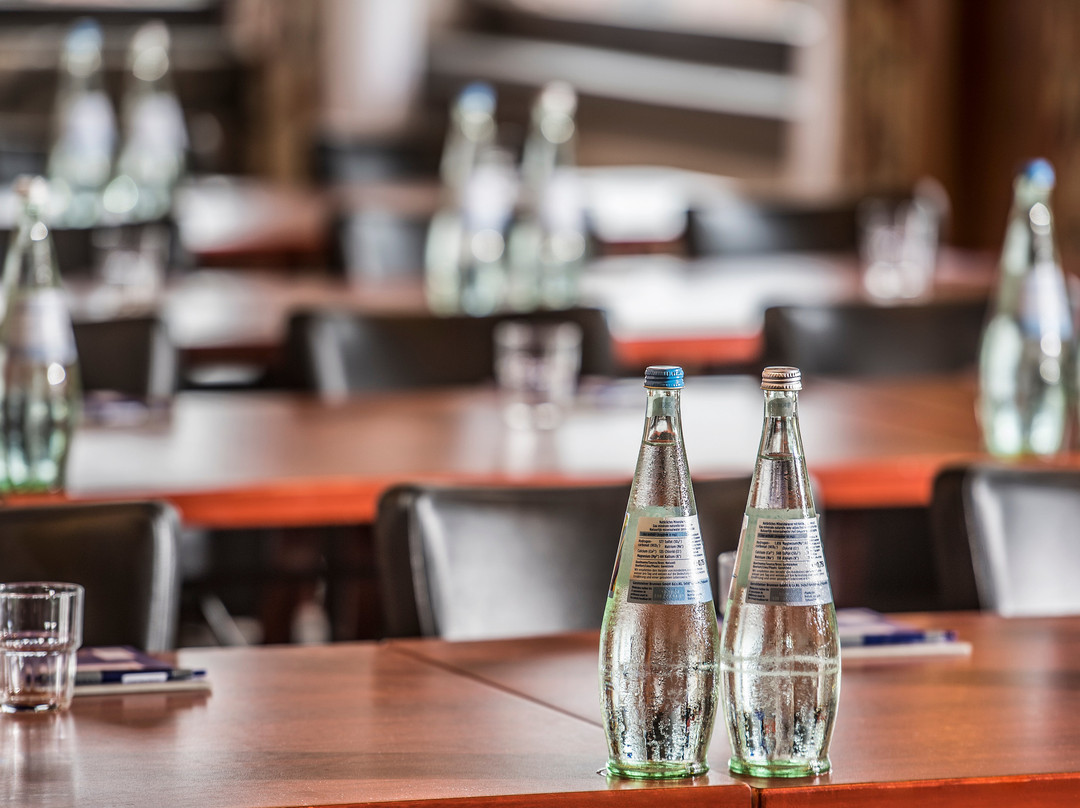 Sauerland Alpin Hotel主图