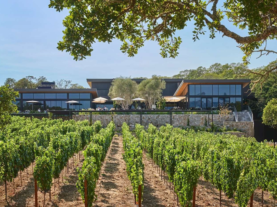 Montage Healdsburg主图