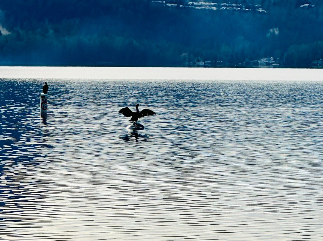 Cultus Lake Provincial Park景点图片