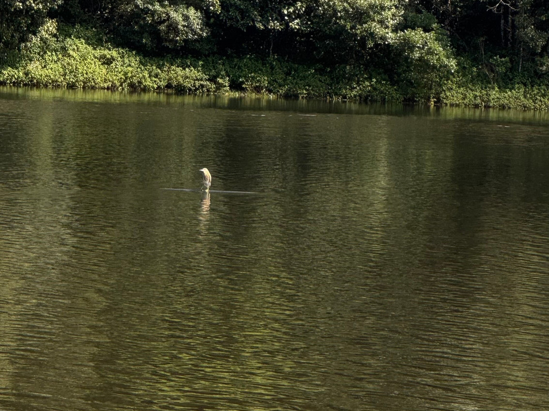 Alleppey Taxi景点图片