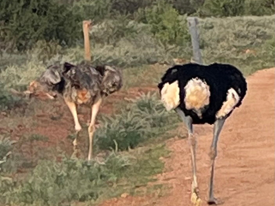 CAT Safaris-沙加缅度必去景点