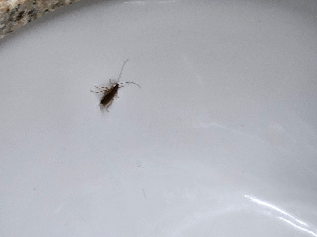 Baymont By Wyndham Indianapolis主图