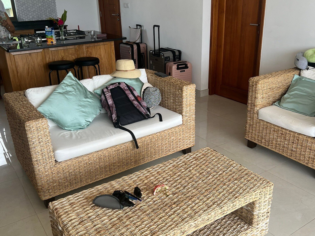 Villa Rousseau主图