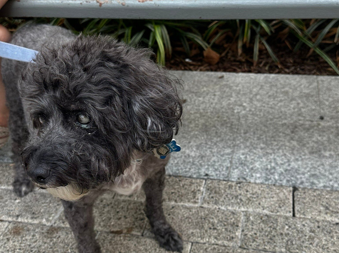 Harborfront Area-国家港口必去景点
