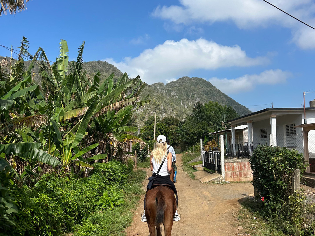 Vinales Adventures景点图片