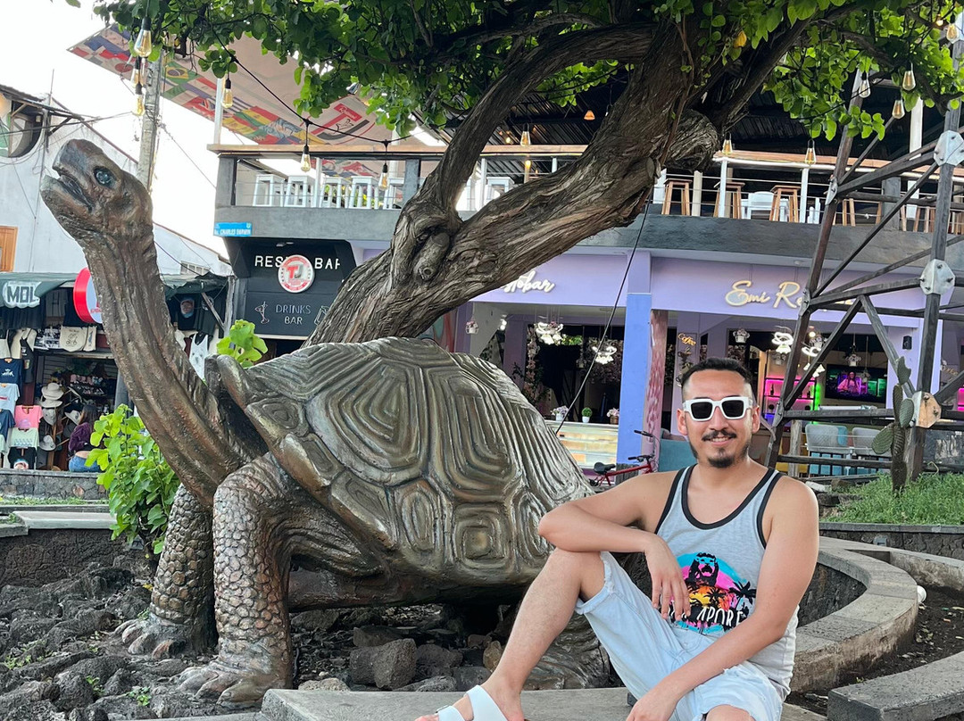 Monumento de la Tortuga-阿约拉港必去景点