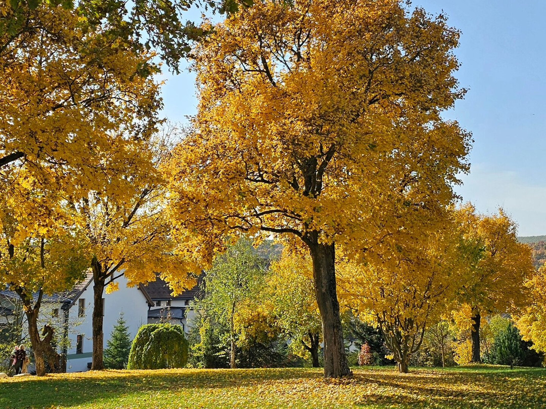 Hotel Vecsecity Superior主图