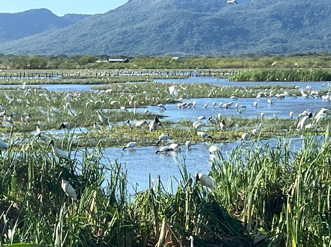 Rancho Humo Estancia主图