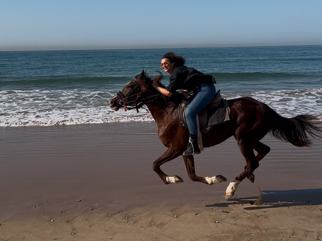 Ranch Paradis Agadir-奥瑞尔必去景点