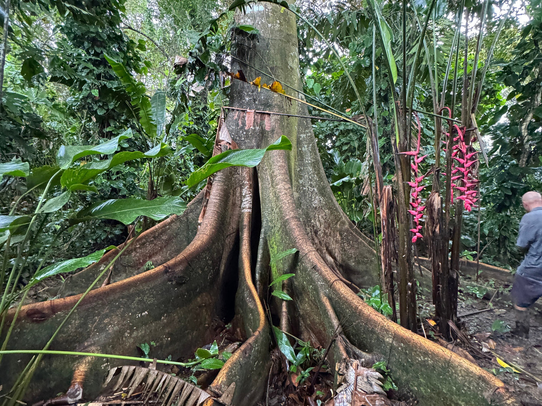 La Tierra Del Encanto-Isla Bastimentos必去景点
